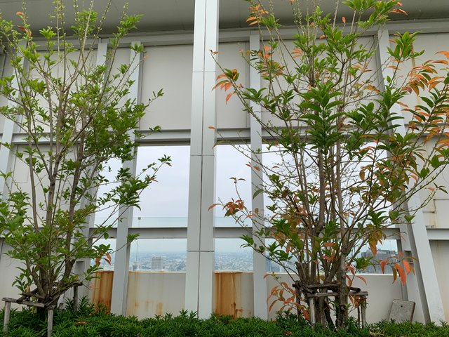 garden104.jpg