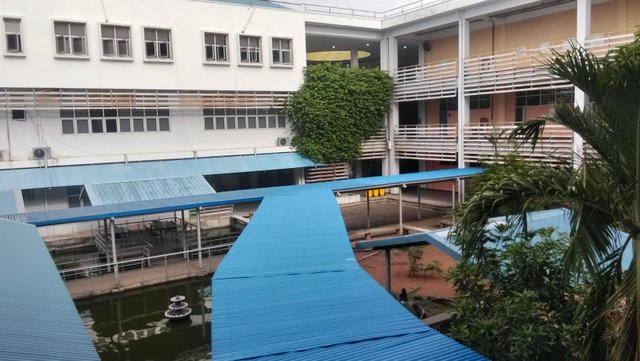 1000089170.jpg