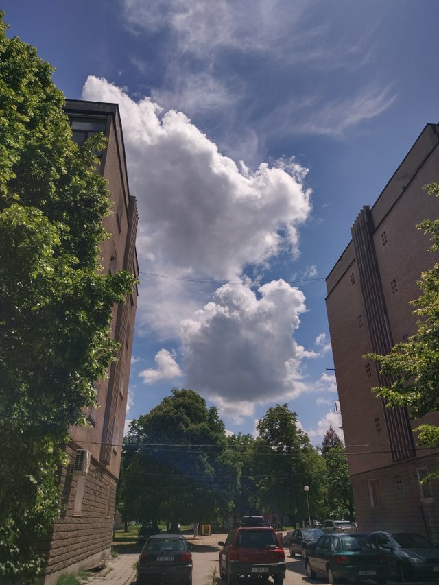 IMG_20250514_122800_HDR.jpg