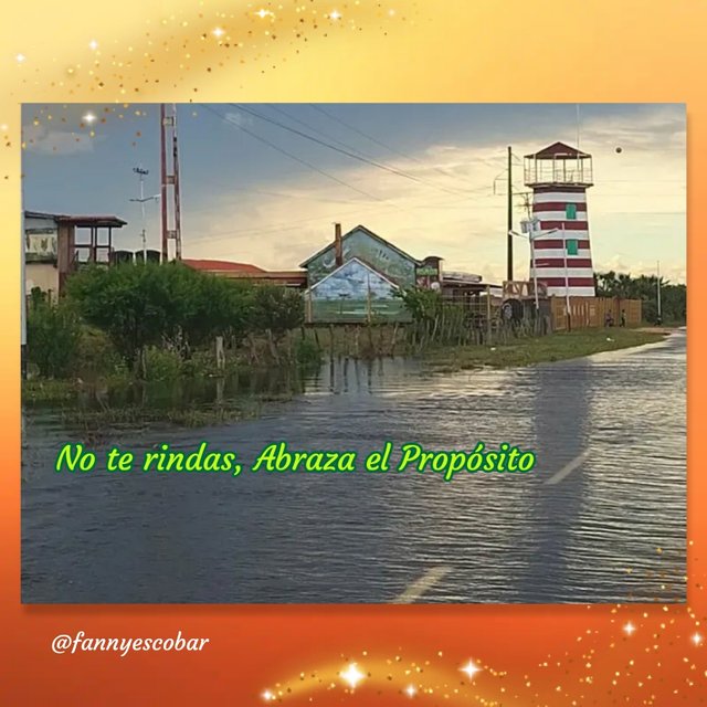 photocollage_20258816117215.jpg