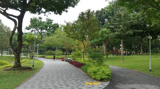 Bishan-park02.jpg