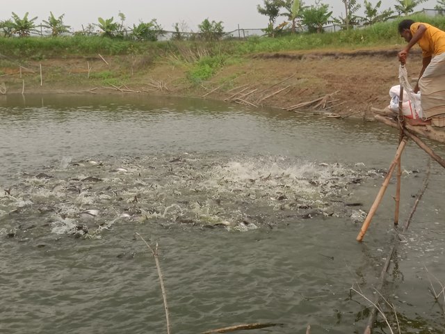 IMG20250501164233.jpg
