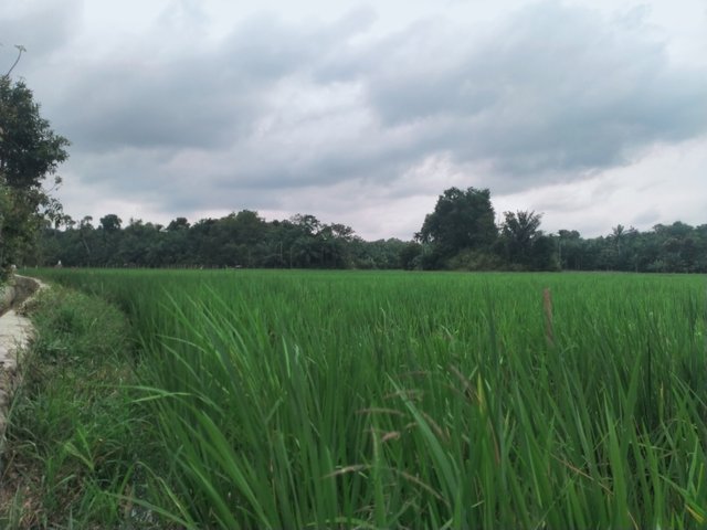 IMG20250309162847.jpg