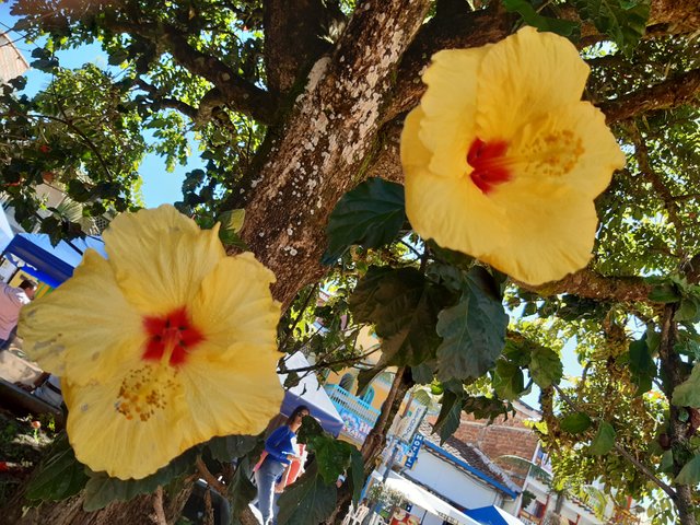 20191026_141151.jpg