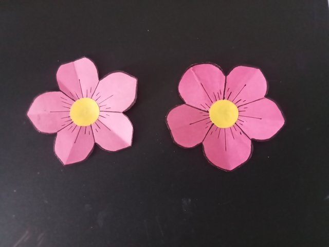 1000028166.jpg