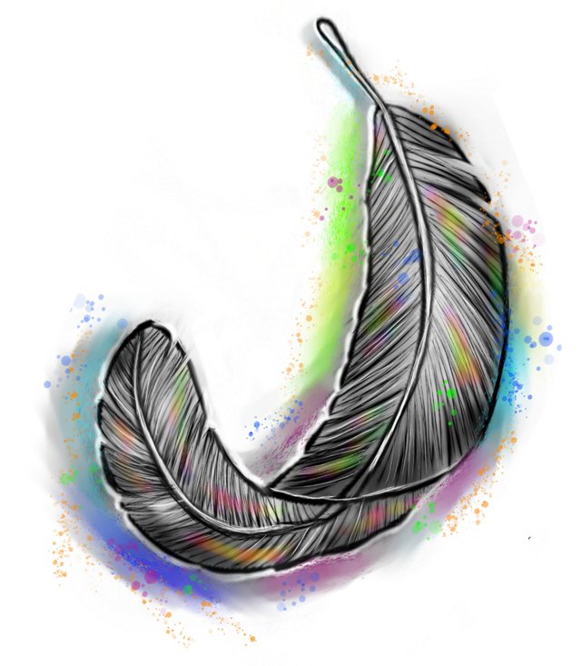 feather 2014.jpg