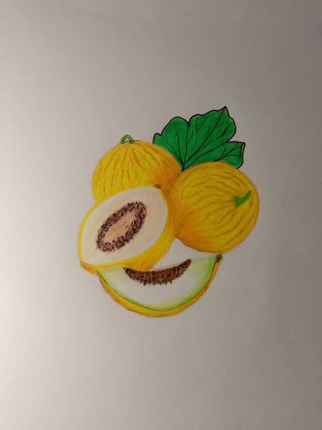 1000055132.jpg