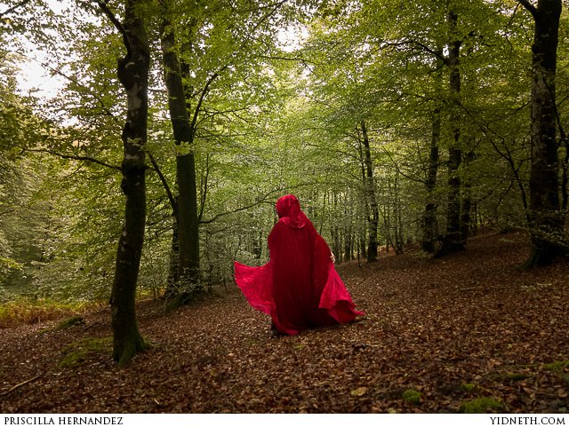 riding hood - by Priscilla Hernandez-2.jpg