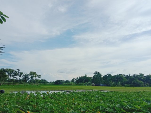IMG_20250818_063815.jpg