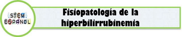 fisiopatologia.png
