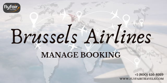 Brussels Airlines Banner.png