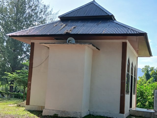 20250706_085131.jpg