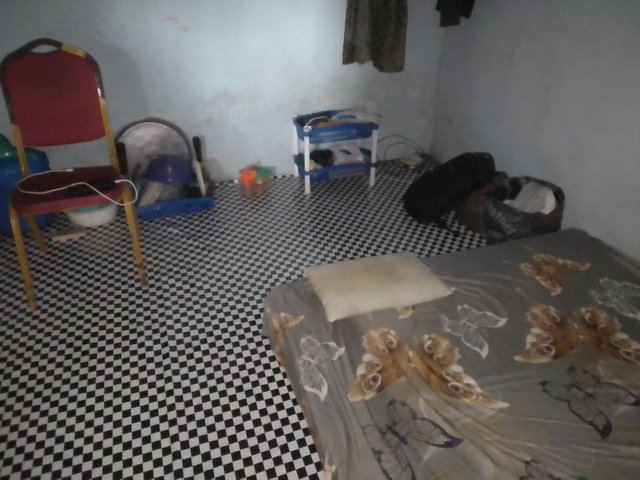 IMG_20250816_153129_574.jpg