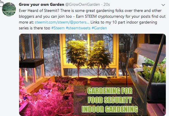 tweet on twitter with indoor gardening post promote Steemit.jpg