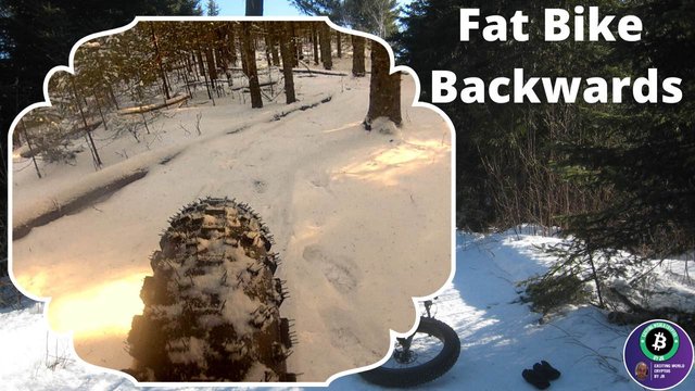 Fat Bike Rear SNAP .jpg