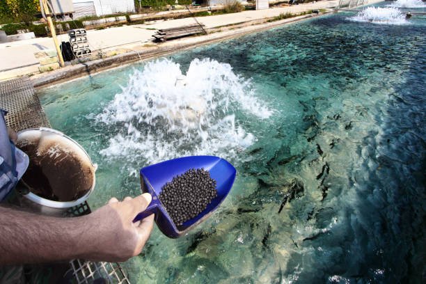 istockphoto-157592224-612x612.jpg