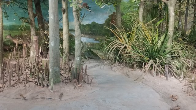 IMG_20250217_121700_2.jpg