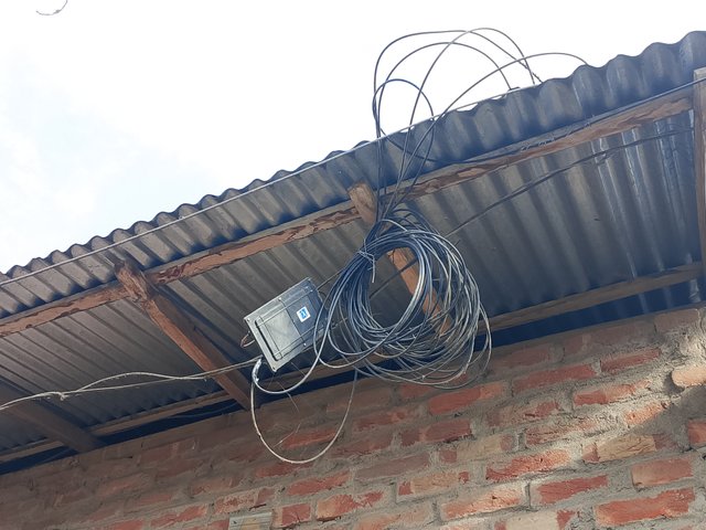1000044629.jpg