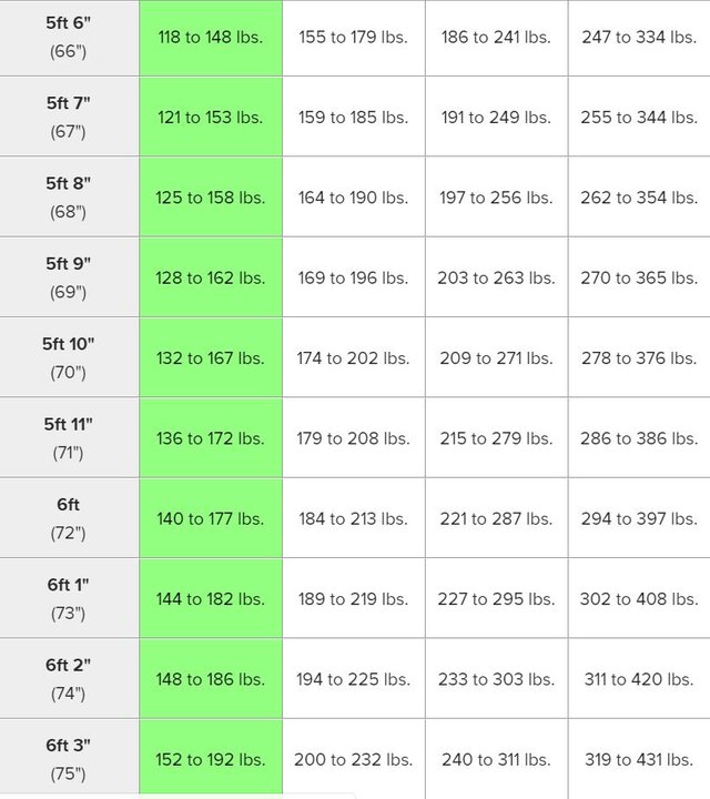 weight & height measurement 2.JPG