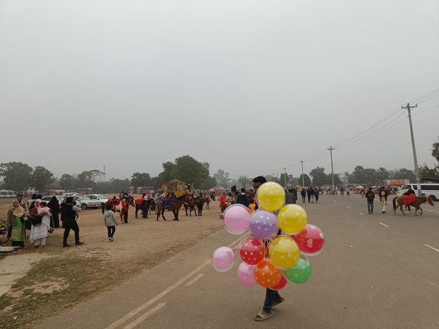 IMG20250103150710.jpg