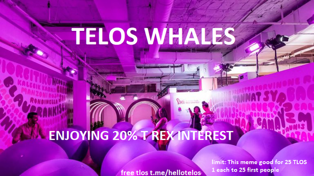 teloswhalespurple1.png