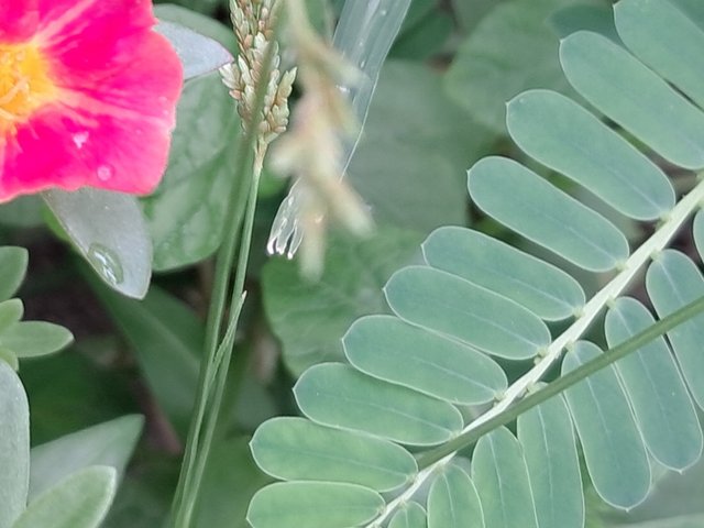 20250620_153355.jpg