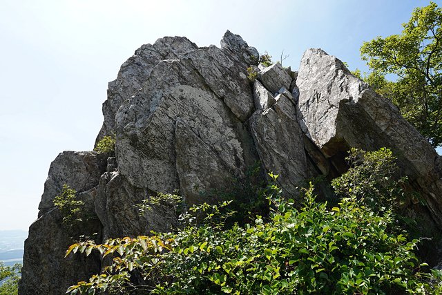 b-DSC08234.JPG
