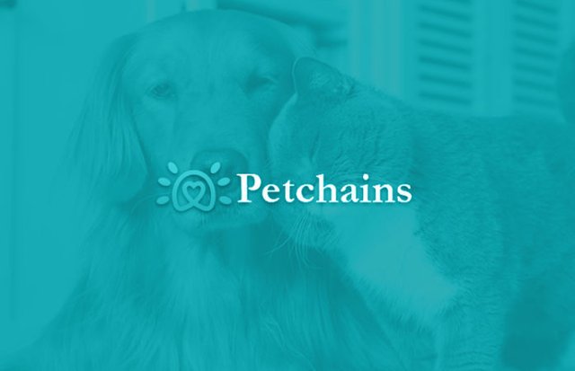 petchains-696x449.jpg