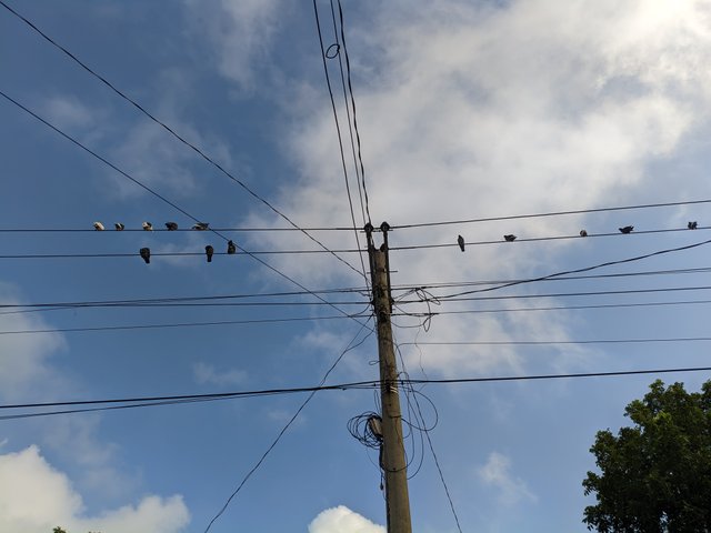 1000051511.jpg