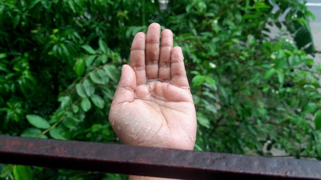 20250602_110108.jpg