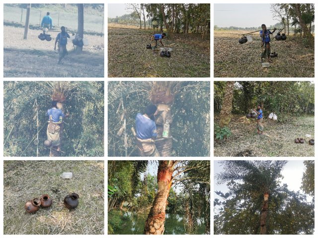 Collage_20250429_152938.jpg