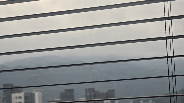 1000128975.jpg