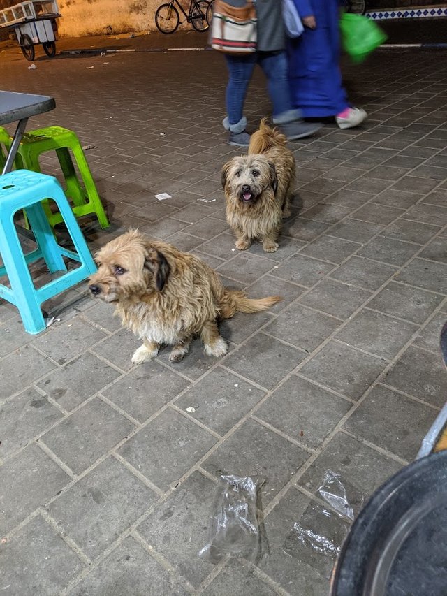 MVIMG_20191208_212104.jpg