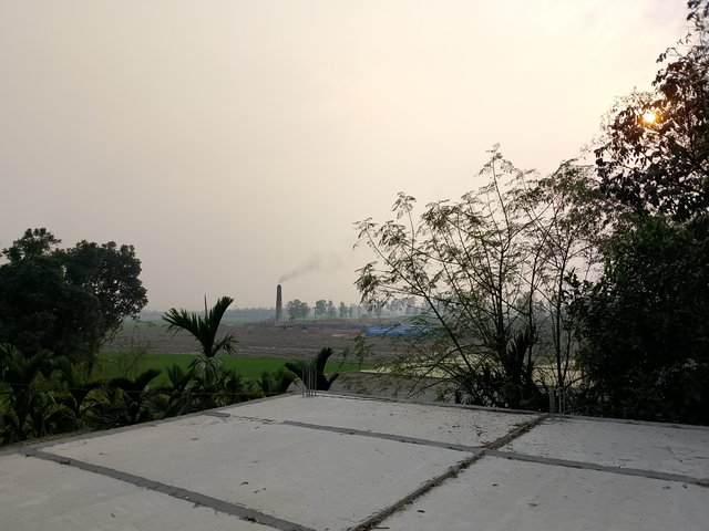 1000031152.jpg