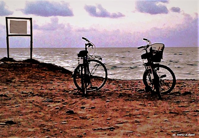 Due bici in spiaggia.jpg
