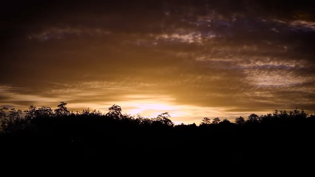 IMG_20250425_062952_594.jpg