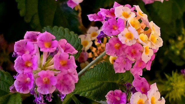 20250403_212020.jpg