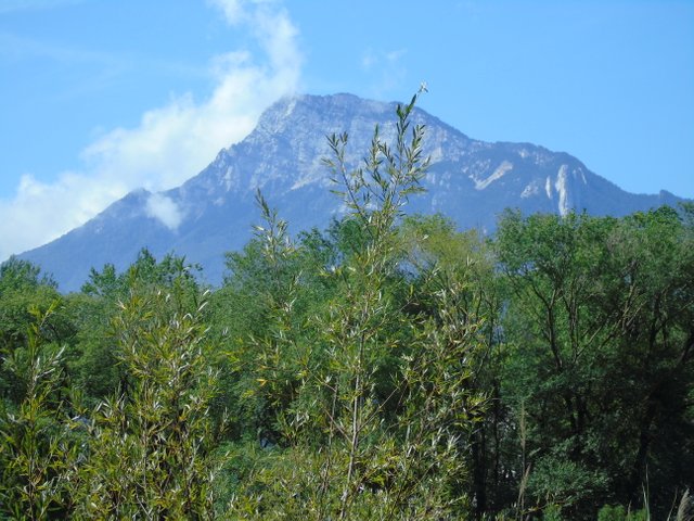 DSC07478.JPG