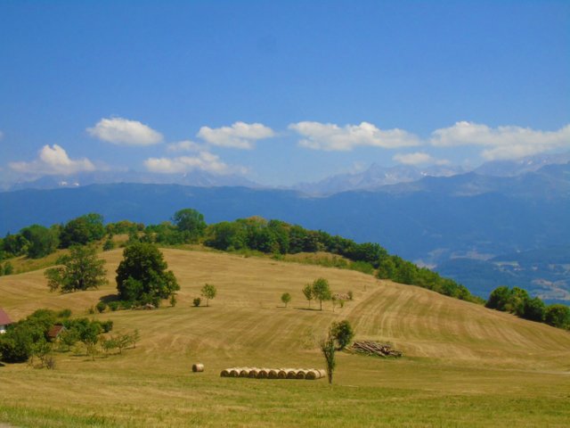 1photofeedlandscape94 (8).JPG
