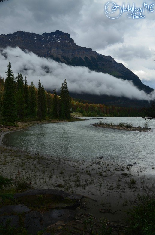 athabasca_falls.jpg