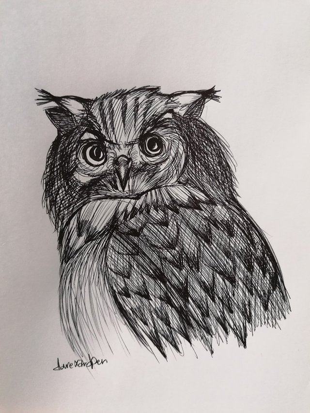 owl pen (1).jpg