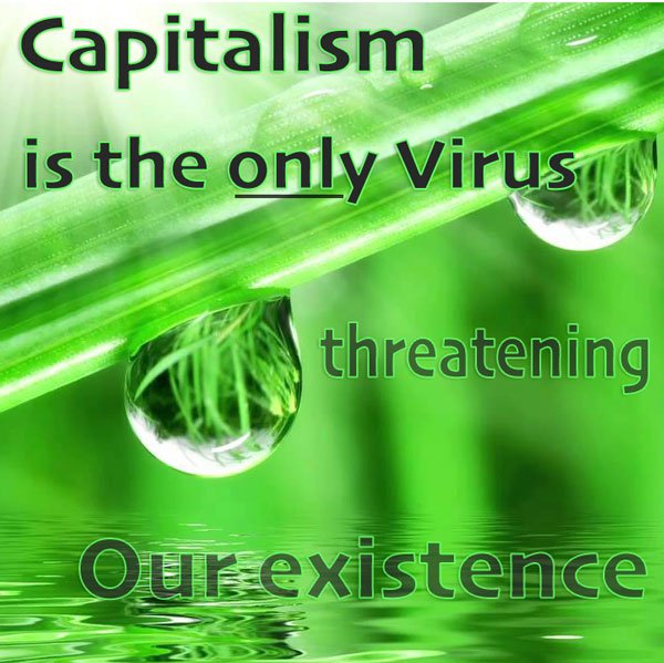 capitalism-is-the-virus.jpg