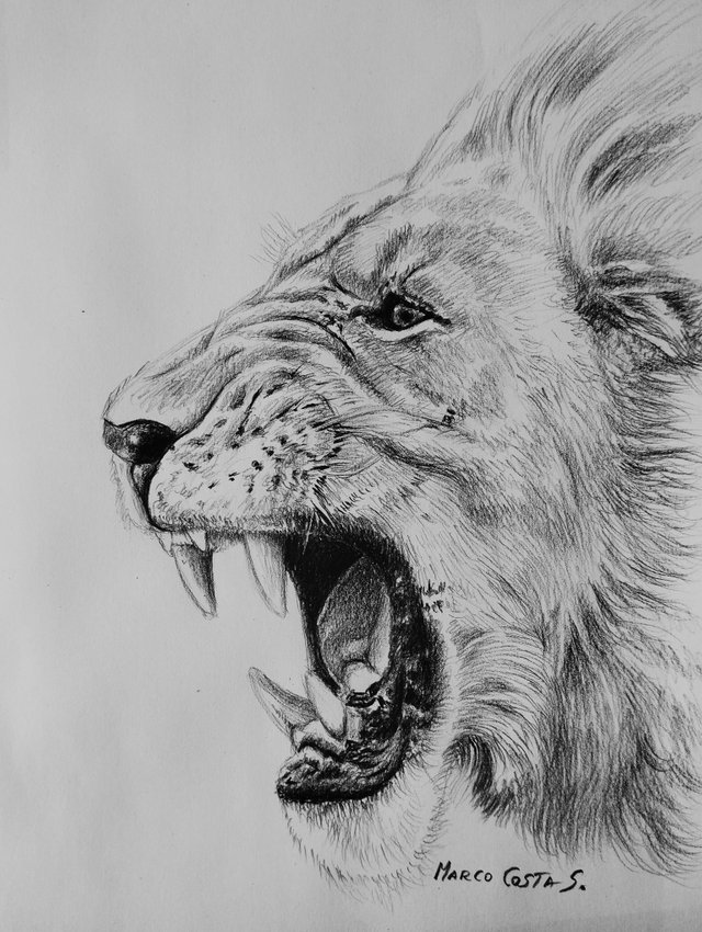 FINAL DIBU LEO.jpg