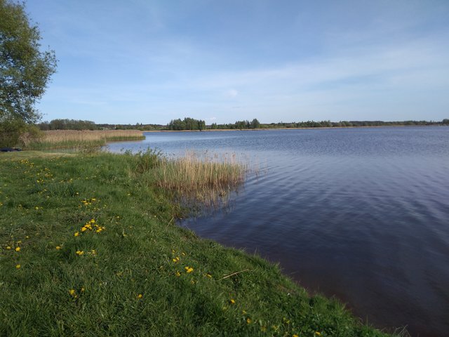 IMG_20240505_175649.jpg