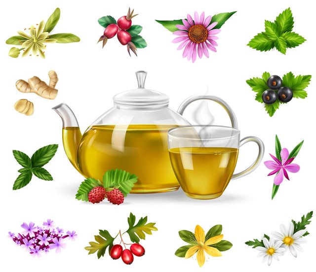 herbal-green-tea-set-with-berries-realistic-isolated-vector-illustration_1284-72294.jpg