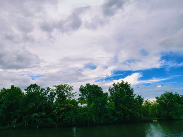 IMG_20250706_084720.jpg