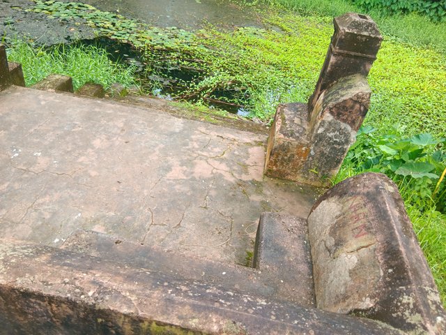 1000038304.jpg
