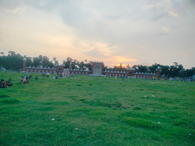 1000049086.jpg