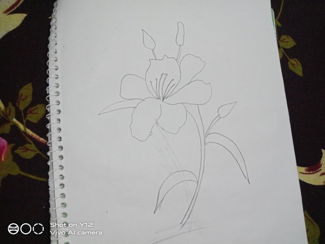 IMG_20250809_200548.jpg