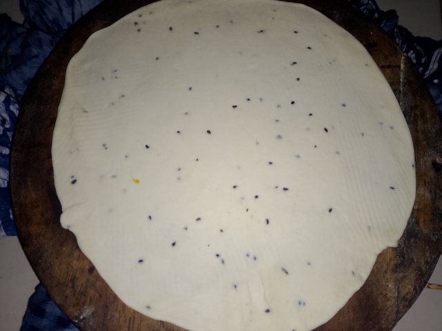 1000028576.jpg